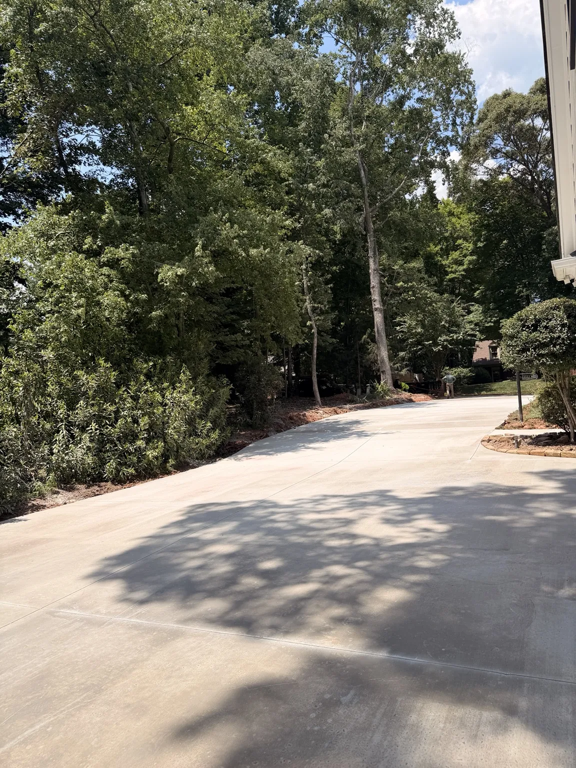 Driveway beside the trees