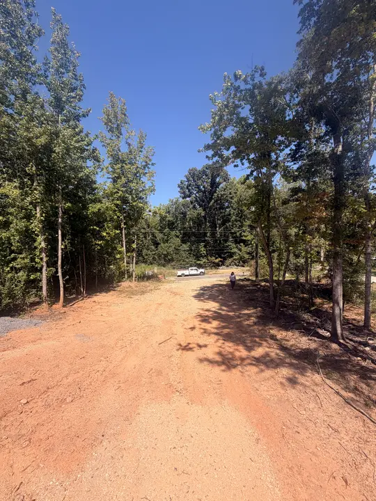 Cleared soil surface bordered by trees